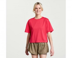 Women's Saucony Elevate Short Sleeve Tops Rose | S-146014