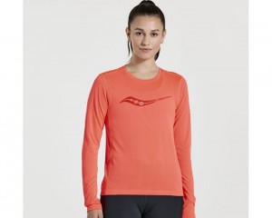 Women's Saucony Stopwatch Graphic Long Sleeve Tops ViZiRed Graphic | S-146043